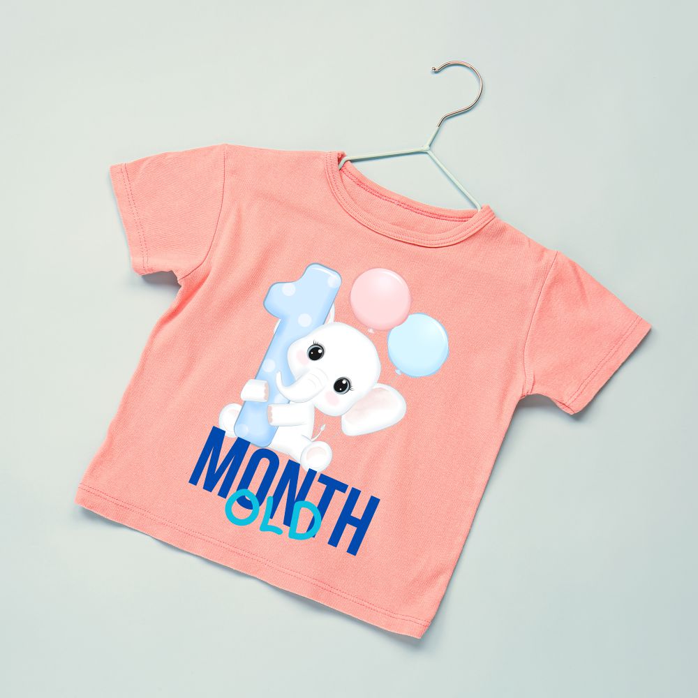 indre finansiel Risikabel Monthly Birthdays 0-3 Months T-Shirts Cute Elephant with Birthday Mont – T  Bhai