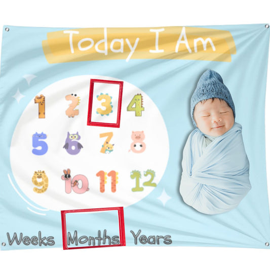 Baby Milestone Tapestry | Monthly Birthday Celebration Ideas and Props