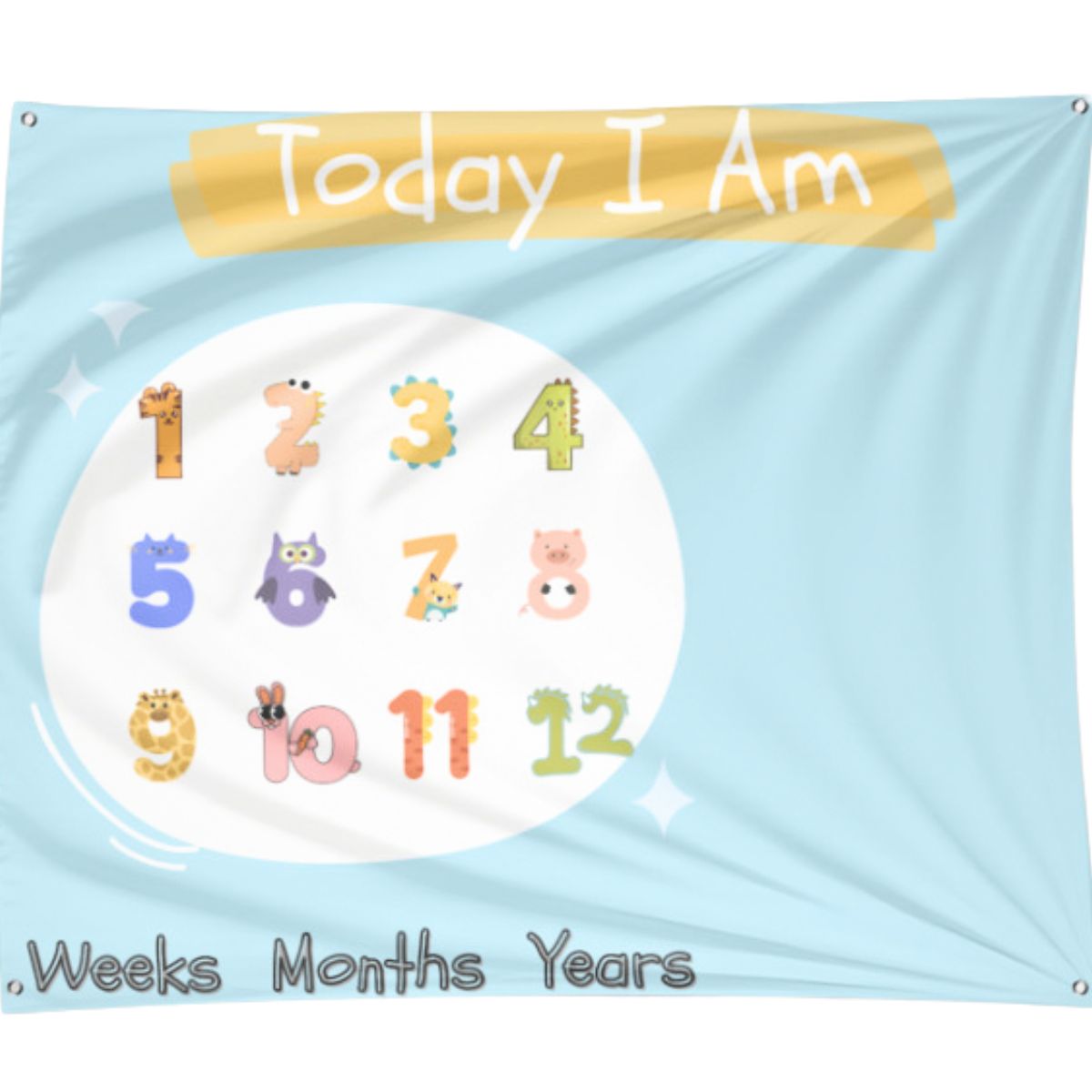 Baby Milestone Tapestry | Monthly Birthday Celebration Ideas and Props