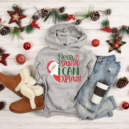 Dear Santa I Can Explain Unisex Christmas Hoodies for Kids and Adults